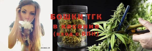 ГАЛЛЮЦИНОГЕННЫЕ ГРИБЫ Новозыбков