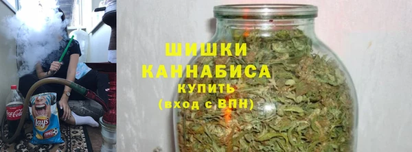 ГАЛЛЮЦИНОГЕННЫЕ ГРИБЫ Новозыбков