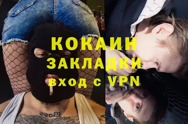 ГАЛЛЮЦИНОГЕННЫЕ ГРИБЫ Новозыбков