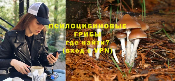 ГАЛЛЮЦИНОГЕННЫЕ ГРИБЫ Новозыбков