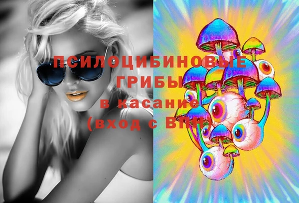 a pvp Новодвинск