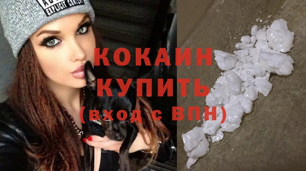 a pvp Новодвинск