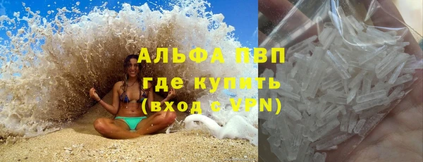 ГАЛЛЮЦИНОГЕННЫЕ ГРИБЫ Новозыбков