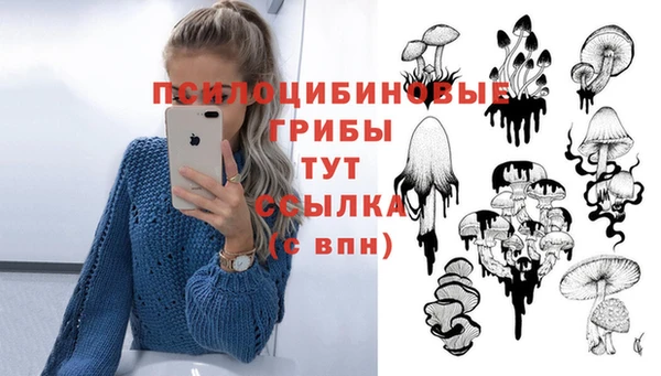 a pvp Новодвинск