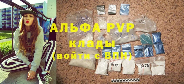 ГАЛЛЮЦИНОГЕННЫЕ ГРИБЫ Новозыбков