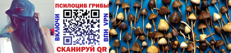 Галлюциногенные грибы Cubensis  omg вход  Амурск  даркнет сайт 
