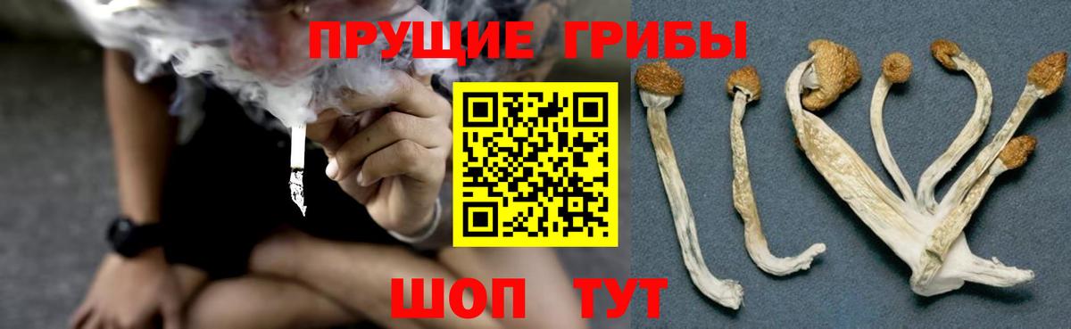 Псилоцибиновые грибы мицелий  Вход с VPN  Амурск 